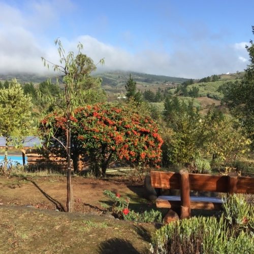 Paisaje Campos ....._page-0001 -